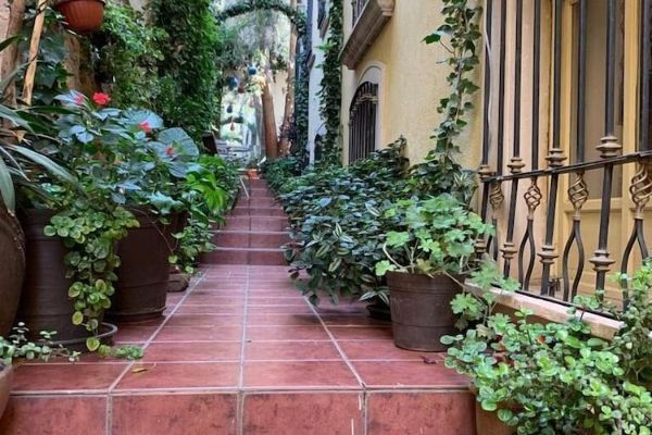Hotel Casona de los Vitrales (Zacatecas)